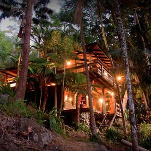 فيلا Currumbin Rainforest Treehouse Currumbin Valley Exterior photo