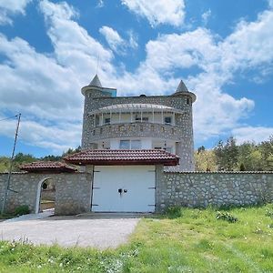 فيلا Къща За Гости Замък Никола Shtarkelovo Gnezdo Exterior photo