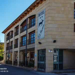 تراجاسيتي Hotel El Gamo Exterior photo