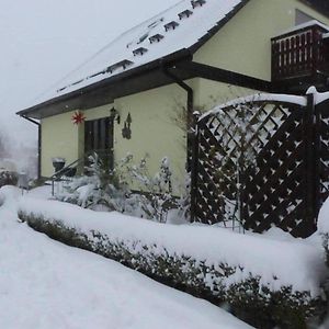 شقة Gelenau  في Fewo-Schmidt-Im-Erzgebirge Exterior photo