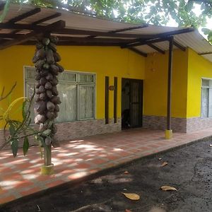 فيلا Cabana En La Playa Punta Bolivar سان أنتيرو Exterior photo