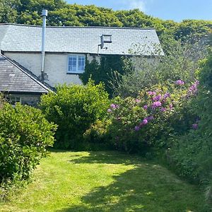 كاميلفورد Mayrose Cottage, Charming Cornish Cottage For The Perfect Escape... Exterior photo