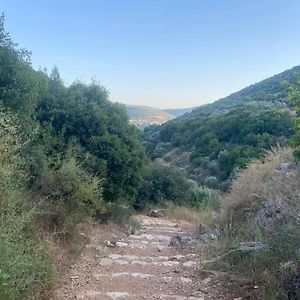 Kefar Hananya Galilee Villa With Relaxing Vibes & Green Views Exterior photo