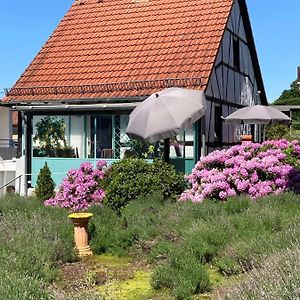 فيلا Ferienhaus Mit Sauna, Wintergarten Und Terrasse Im Schoenen Hochtaunus غلاشوتين Exterior photo