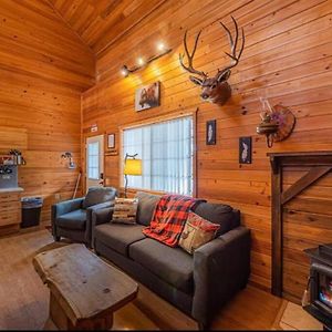 بايسون Cabin #1 Buffalo Herd -Pet Friendly - Sleeps 6 - Playground & Game Room Exterior photo