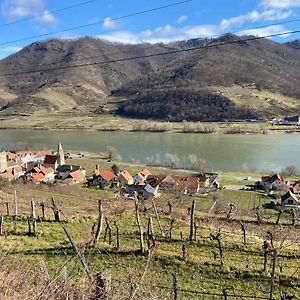 فيلا Top Ferienhaus Bei Spitz / Wachau Schwallenbach Exterior photo