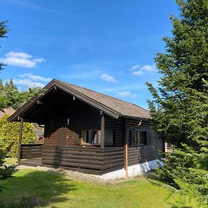 فيلا Ferienhaus-Blockhuette Im Fichtelgebirge - Nagler See 2 Km Nagel Exterior photo