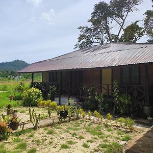 فندق Nelmann'S Nipa Huts سان فيسنتي Exterior photo