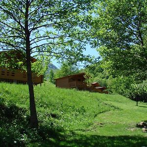 Coltesti Wood Cabins In The Heart Of Transylvania Exterior photo