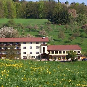 فندق Dornroeschen Höchst im Odenwald Exterior photo