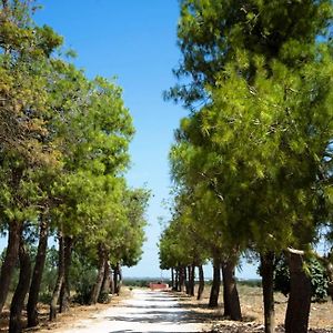 مبيت وإفطار ساليس سالينتينو Masseria San Paolo Exterior photo