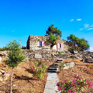 Ioulis Owl'S Nest/The Pink Cottage Exterior photo
