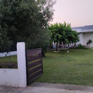 Villa Mamas زيوس ماماس Exterior photo