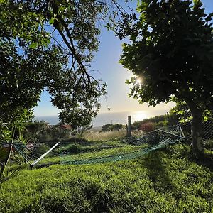 فندق أويافي  Aloxamento A Marina Exterior photo