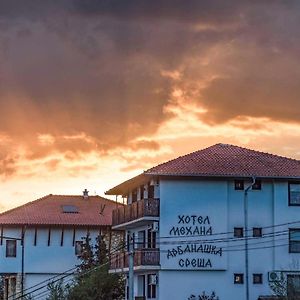 ارباناسي Family Hotel Arbanashka Sreshta Exterior photo