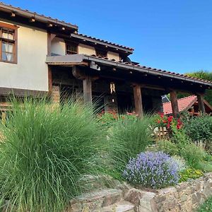 Traditional Cottage - Vila Samovila Delcevo Exterior photo