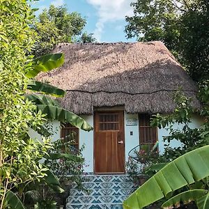 Hotel Boutique Cenote San Ignacio ميريدا Exterior photo