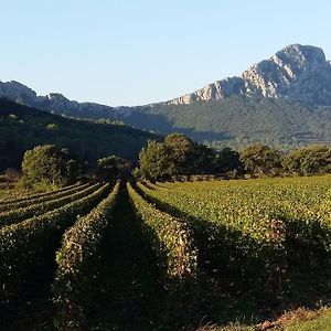 فيلا Gite Entre Cevennes Et Mediterranee Cazilhac  Exterior photo