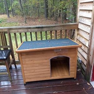 فيلا Rustic Quaint Cabin In The Woods--Pets Welcomed Dunnsville Exterior photo