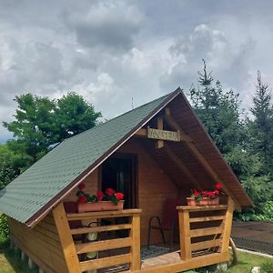 فيلا Cazare La Munte Cu Piscina Bistra Exterior photo