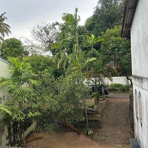 Homagama Mango Tree Budget Home Stay Exterior photo
