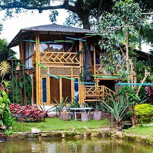 فندق Casa Del Arbol, Romantico, Piscina, En Chinauta, El Mejor Clima El Michu Exterior photo