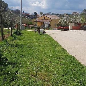 مبيت وإفطار أريانو إربينو Agriturismo San Tommaso Exterior photo