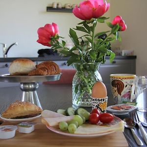 لارين Bed & Breakfast Bij De Wilg Exterior photo