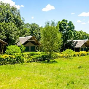 فندق Giraffe Hills Mara Camp ماساي مارا Exterior photo