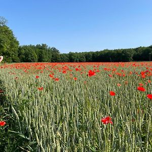 فيلا Charmant Gite 6P. Perigord Vert Mareuil-sur-Belle Exterior photo