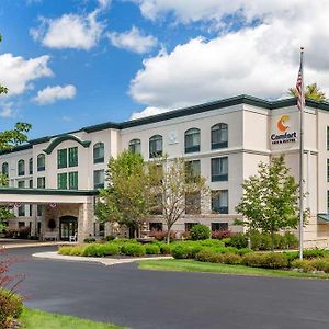 Comfort Inn & Suites بحيرة جورج Exterior photo