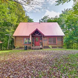 North Creek Cozy Gore Mountain Cabin With Game Room And Fire Pit Exterior photo