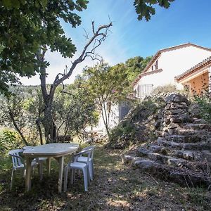 Bas De Villa Au Milieu Des Oliviers. Chateauneuf-Villevieille Exterior photo