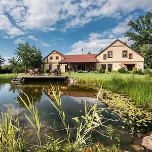 فندق Penzion U Lisky Jarosov nad Nezarkou Exterior photo