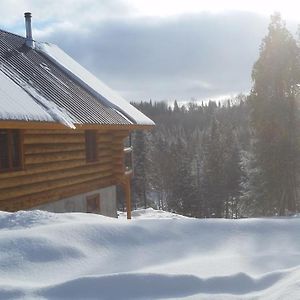 فيلا Chalet Bois Rond Aux Paysages Uniques Avec Spa ! Lac-aux-Sables Exterior photo