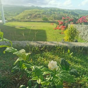 فندق Panoramic Paradise La Ferme Exterior photo