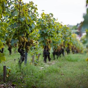 فيلا Gite Au Milieu Des Vignes Prignac-et-Marcamps Exterior photo