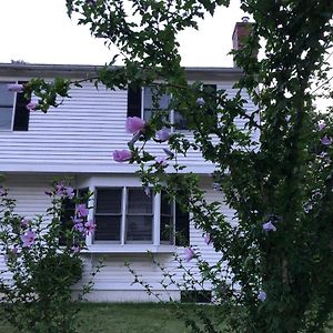 Room In Single Family House - Suburban Neighborhood In بوسطن Exterior photo