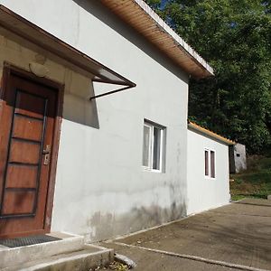 فيلا Govoraفي Vila Luminita Exterior photo