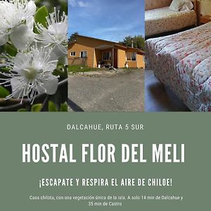 دالكاوي Hostal Flor Del Meli Exterior photo