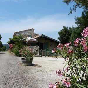 مبيت وإفطار Durban-Corbieres Bergerie Balbonne Exterior photo