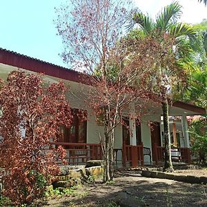 Tangkoko Jungle Homestay Rinondoran Exterior photo