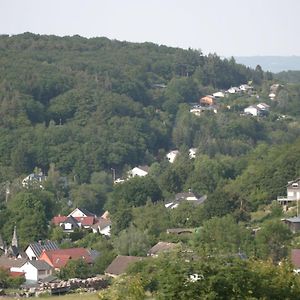 فيلا Rech Hof Eifel Urlaub Schalkenbach Exterior photo