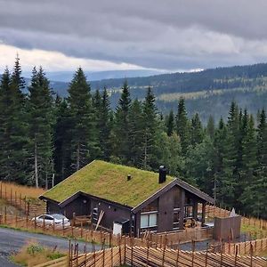 Svingvoll New Cabin With Jacuzzi, Sauna And Ski Inout Exterior photo