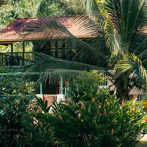 مبيت وإفطار Big Creek Casa De Mono Bocas Exterior photo