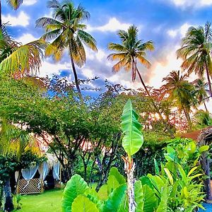 فيلا Majo Lounge Dans Un Jardin Tropical A 5 Min De La Mer Caraibe Saint-Pierre Exterior photo