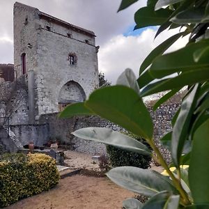 فندق La Maison Du Prince De Conde Charroux-dʼAllier Exterior photo