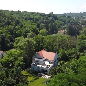 Borsodgeszt Villa Viridis Buekkalja Exterior photo