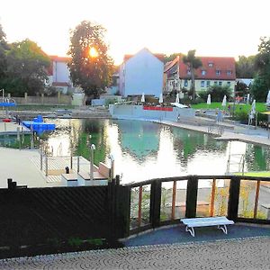 فيلا Ferienhaus Strauss Nahe Der Kyffhaeuser Therme باد فرانكنهاوزن Exterior photo