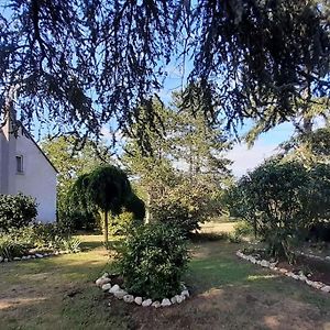 Saint-Dyé-sur-Loire Gite Le Vieux Moulin Exterior photo